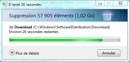 Fenêtre de suppression de fichiers Windows