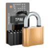 Module TPM 2.0 pour carte mère
