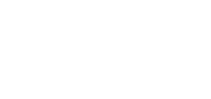 Logo NVMe